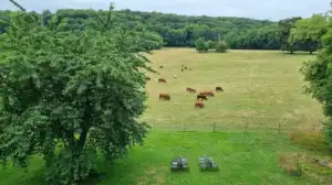uitzicht vanuit het kasteel 2.webp